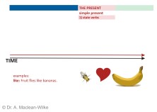 Simple Present, State Verbs and Verbs of Perception, Slide 2