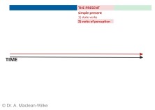 Simple Present, State Verbs and Verbs of Perception, Slide 6