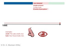 Simple Present, State Verbs and Verbs of Perception, Slide 8