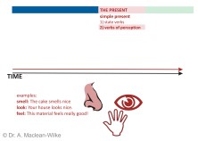 Simple Present, State Verbs and Verbs of Perception, Slide 9